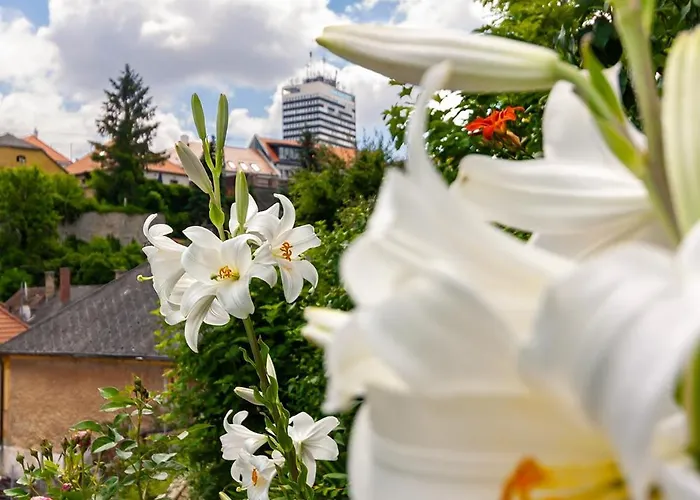 Monbuhim Comfort Apartament *